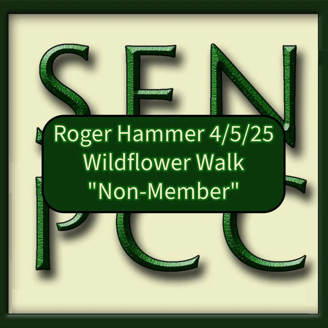 Purchase Icon Roger Hammer Non-Member.jpeg