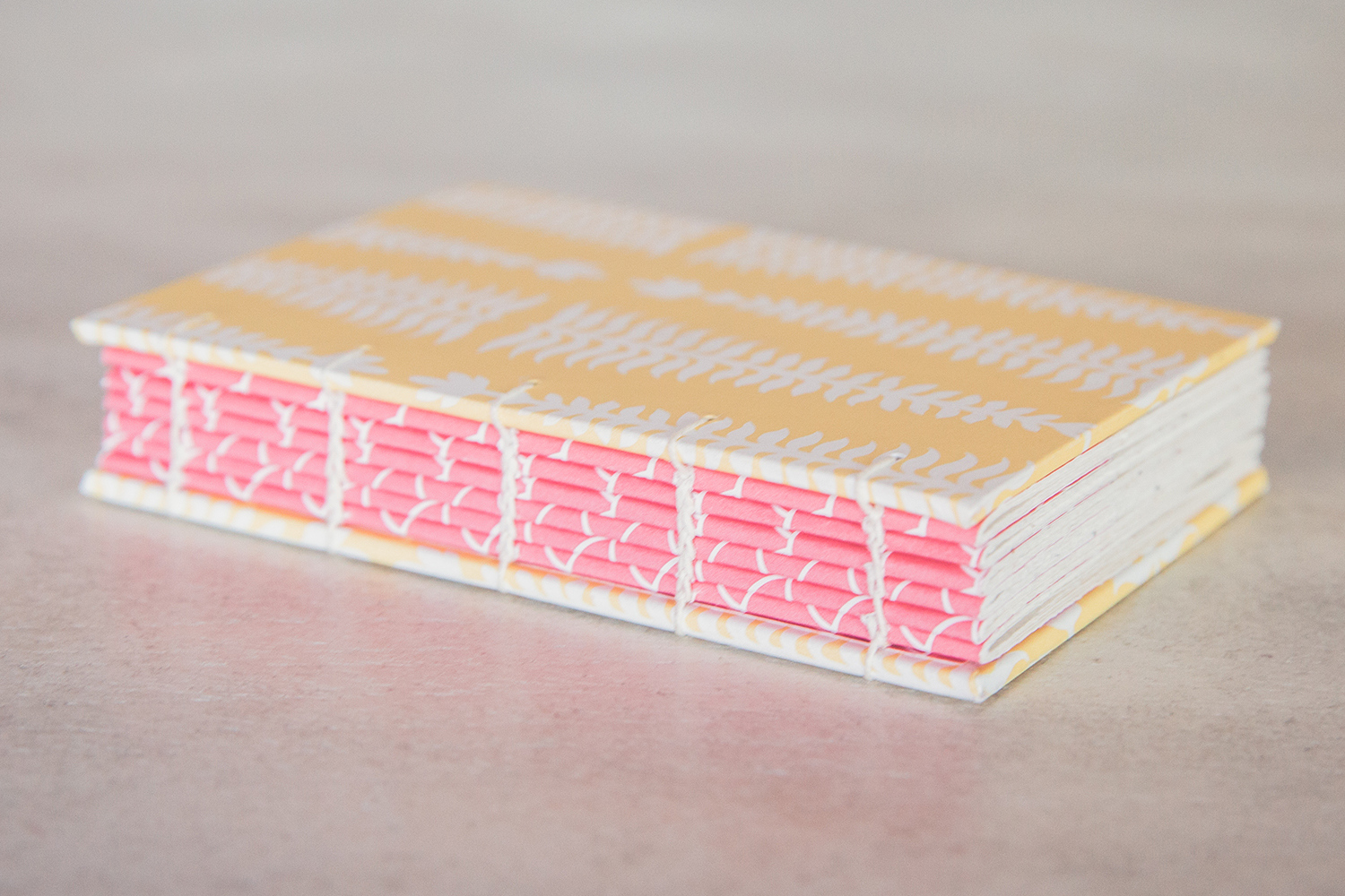giveaway book 1.jpg