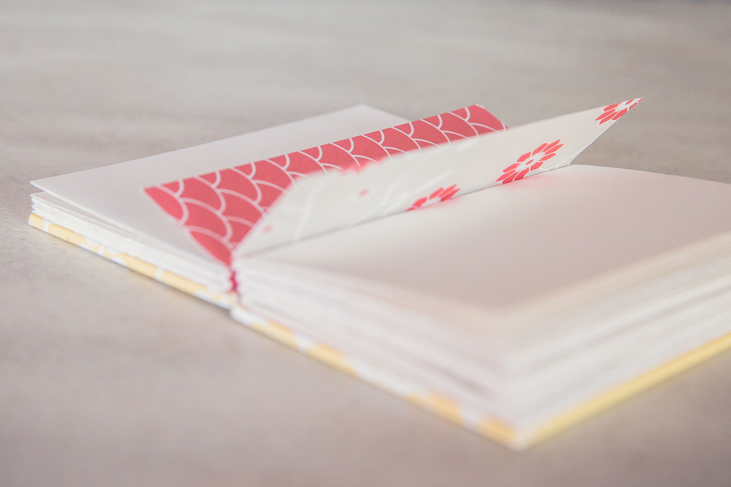 giveaway book 3.jpg