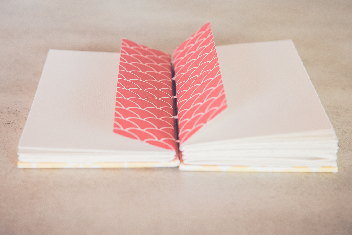 giveaway book 6.jpg