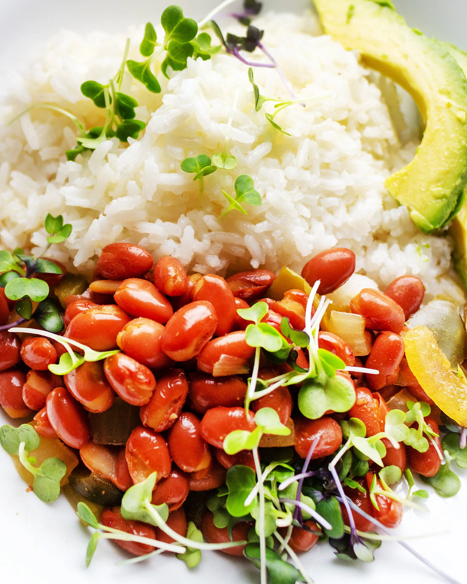 riceandbeans_01.jpg