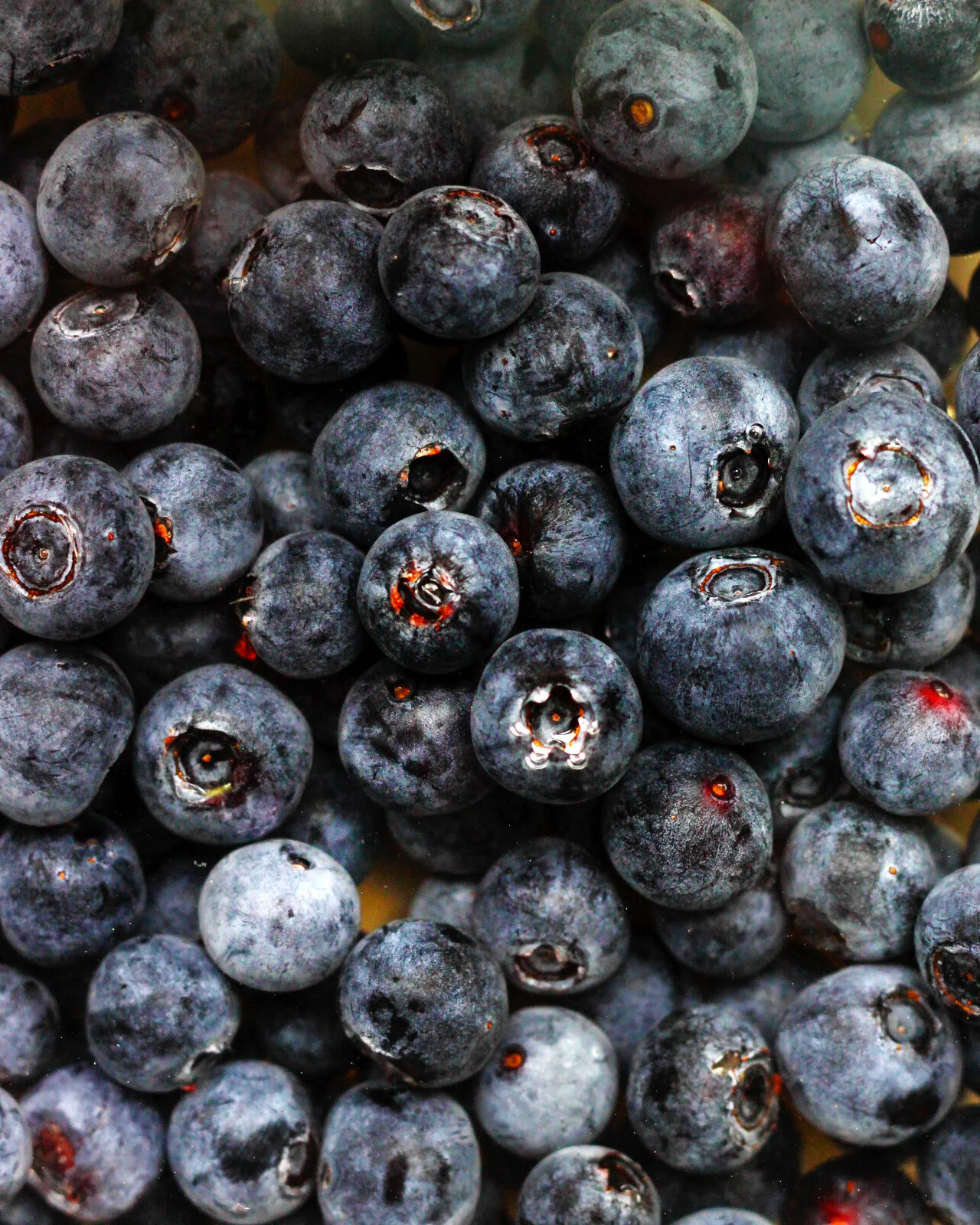 berries_04_052020.jpg