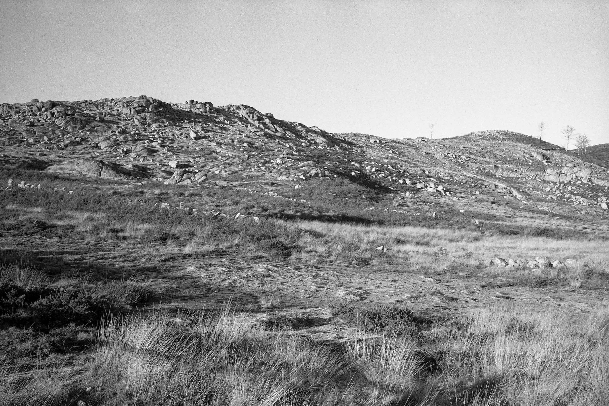 1572_2019004_tratada.jpg