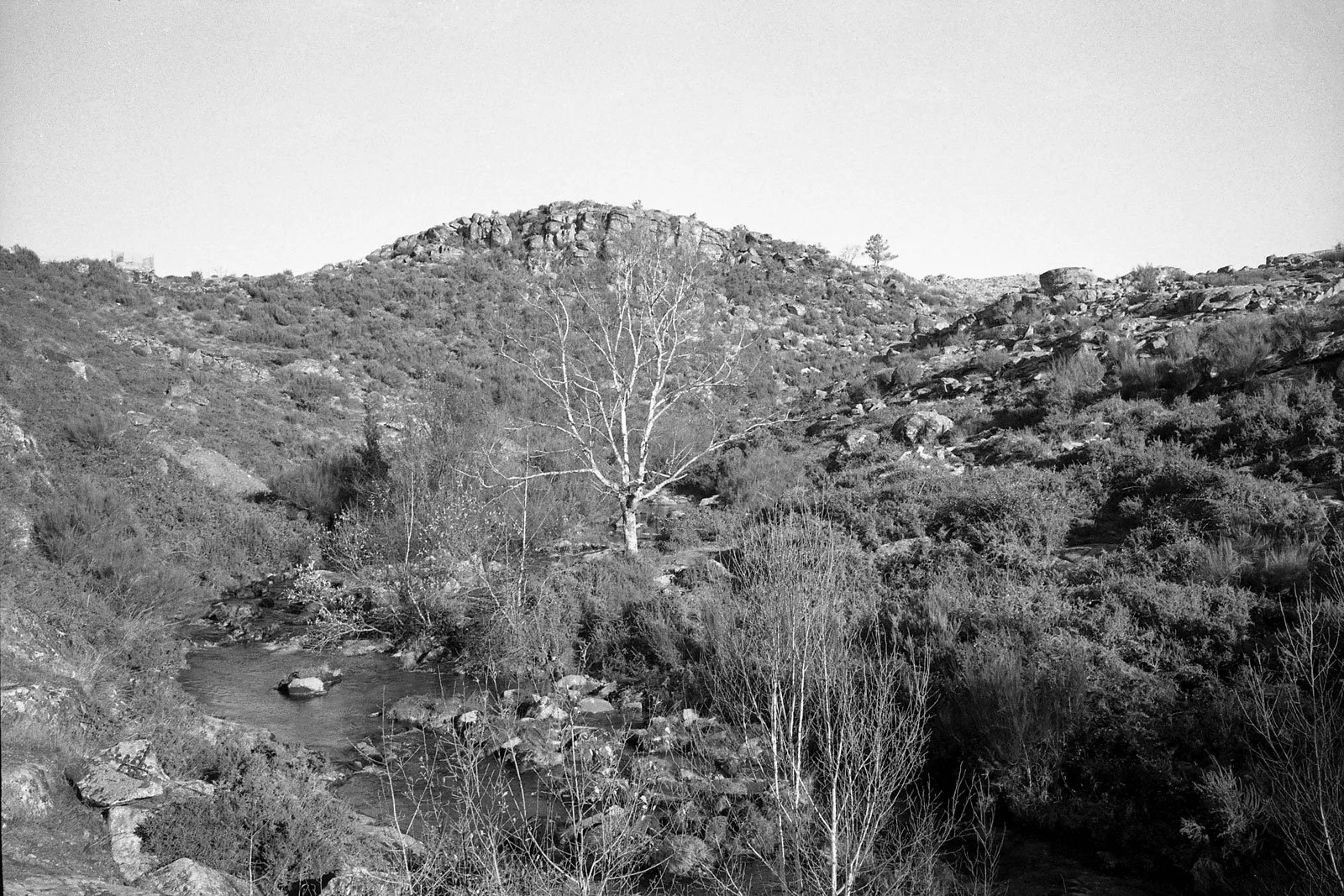 1572_2019007_tratada.jpg