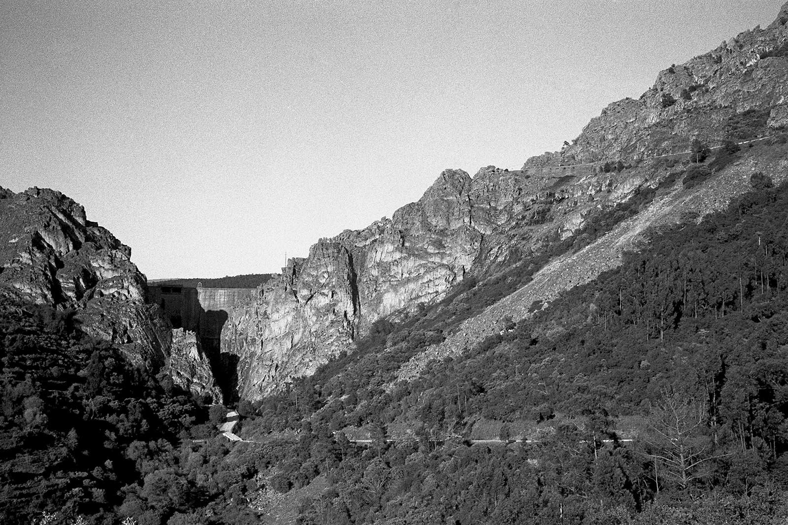 1719_25037_tratada.jpg