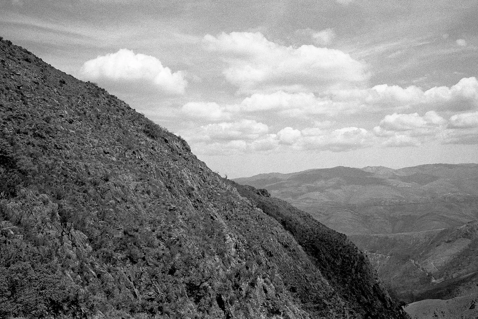 1722_25026_tratada.jpg