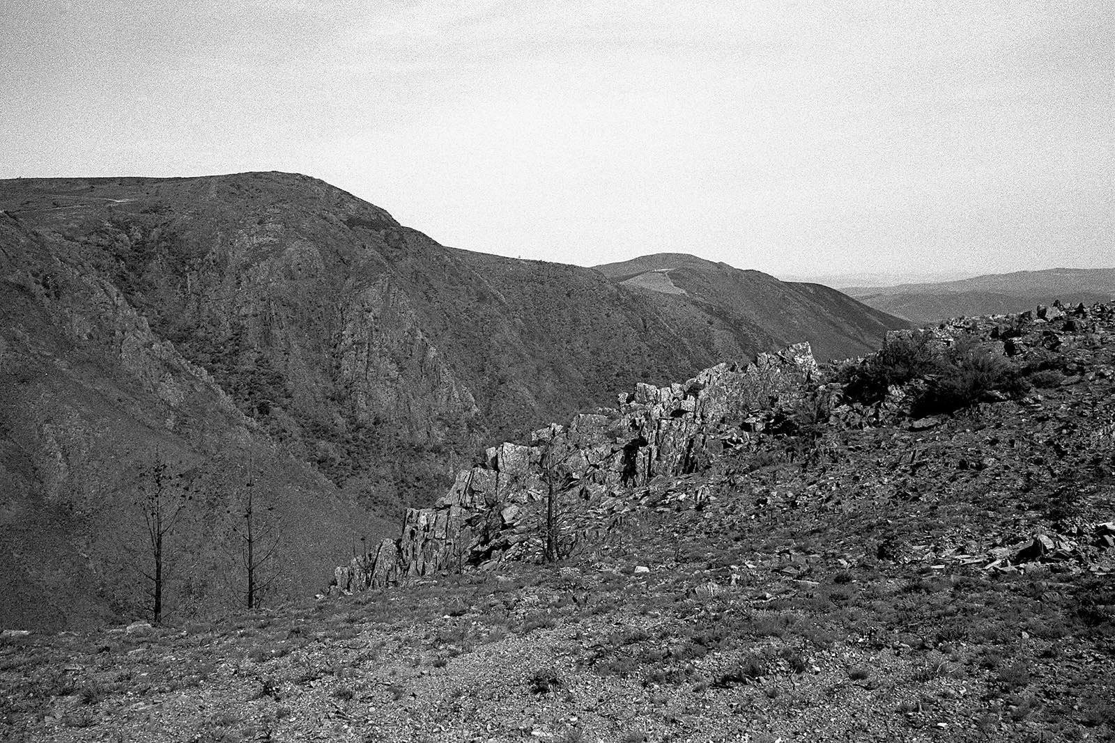 1722_25038_tratada.jpg