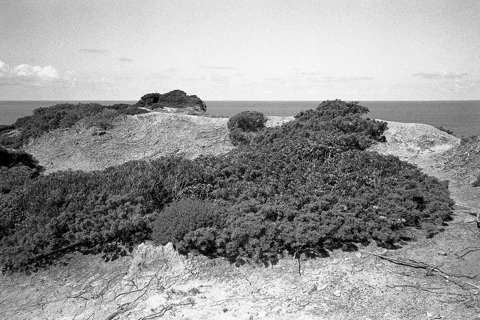 1722_25048_tratada.jpg