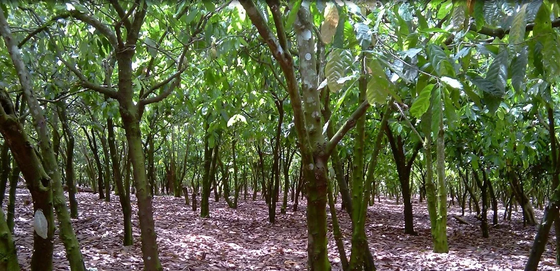 Rethinking capitals: Going beyond financials is the natural thing to do