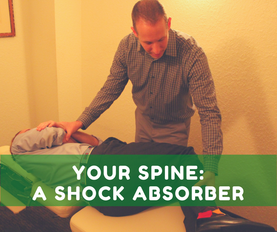 Your Spine A Shock Absorber — Markson Chiropractic