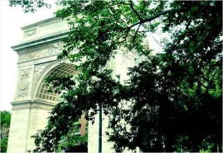 washington-square-park-feature-b-320x220.jpg
