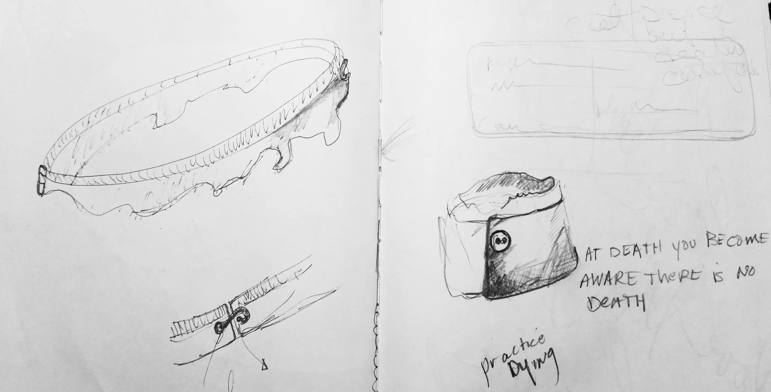 Object of Mourning Impermanence Drawing 1.jpg