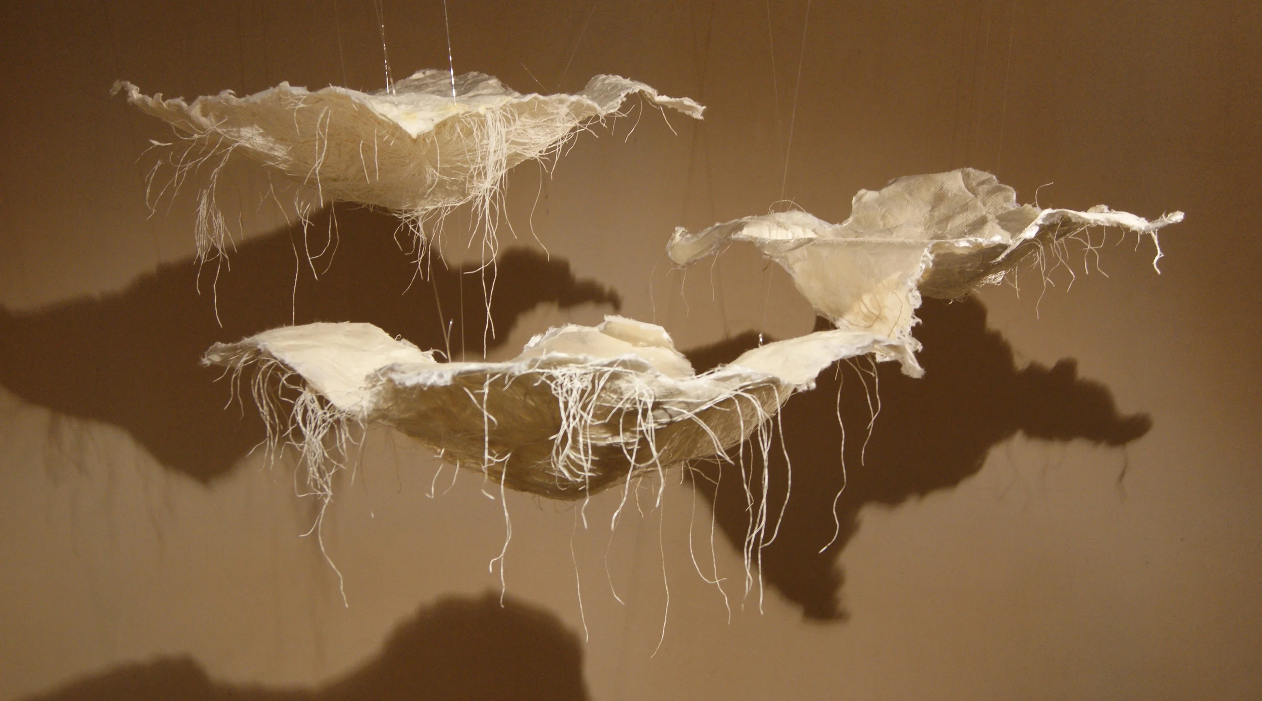 11_along against_2010.JPG