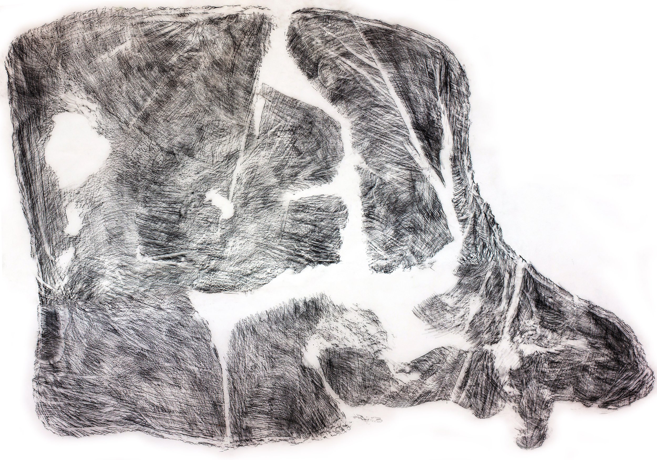    chainsaw marks 3  . pencil rubbing on tracing paper, 2018. 187 x 131 cm 