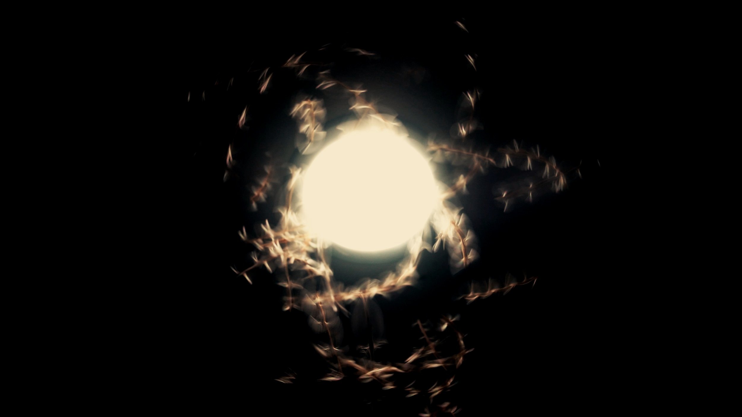 light_still_8.jpg
