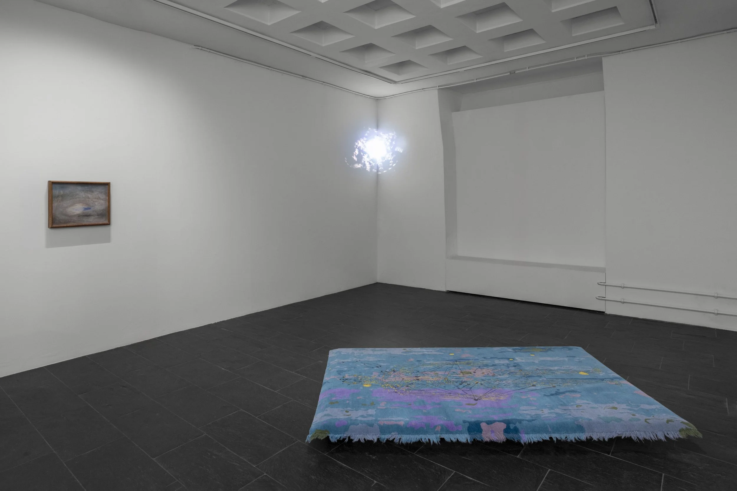 Exhibition view_Lena-Bui_skin in my stomach_©StudioOliverKümmerli_1.jpg