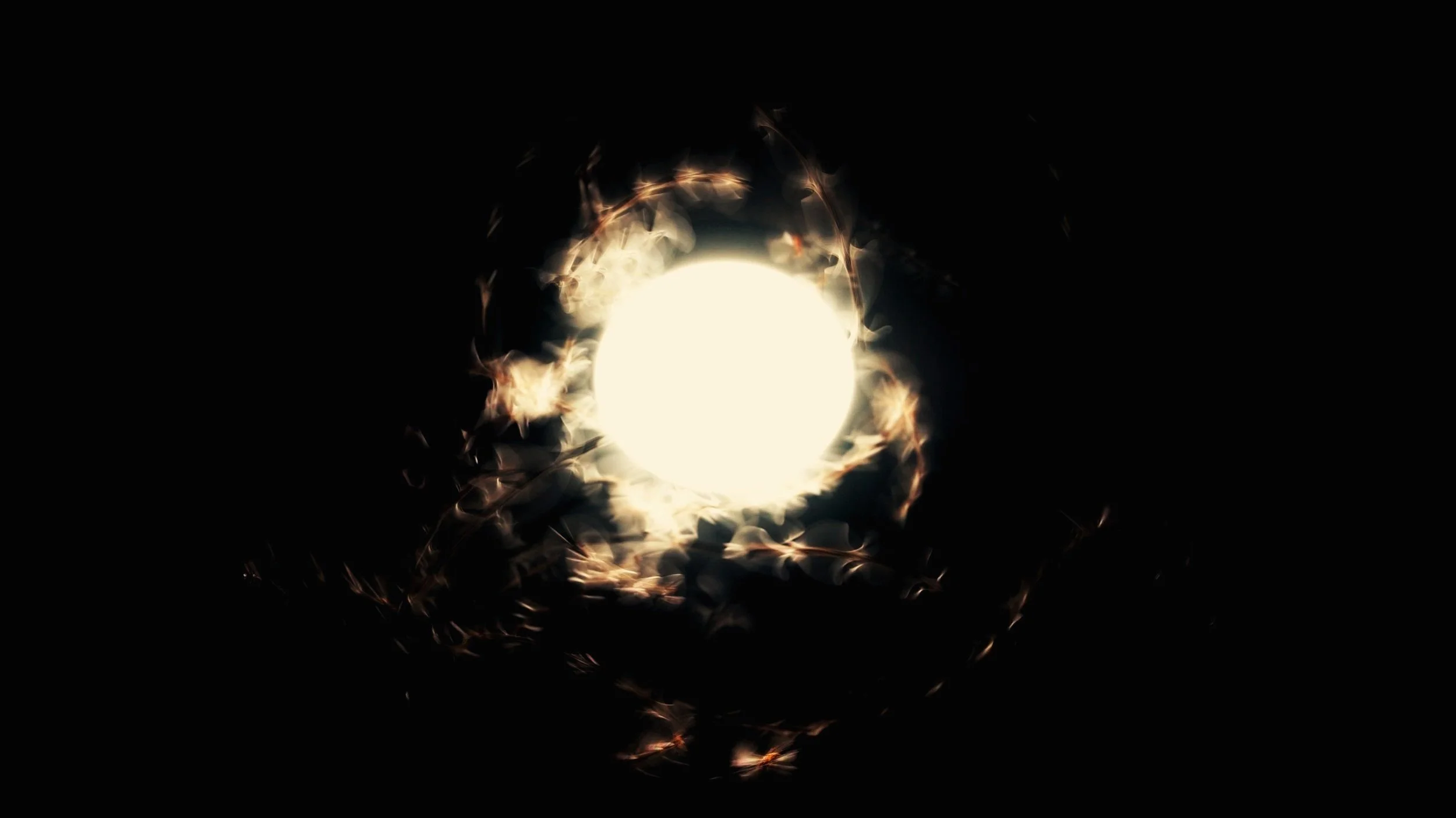 light_still_7.jpg