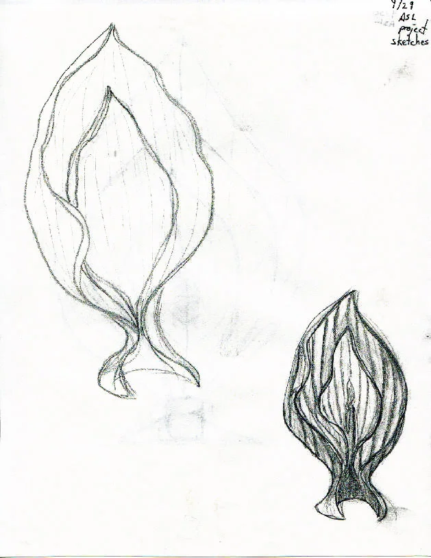 spsketch3.jpg