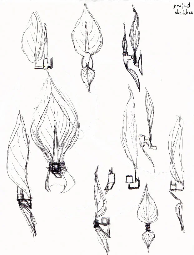 spsketch7.jpg