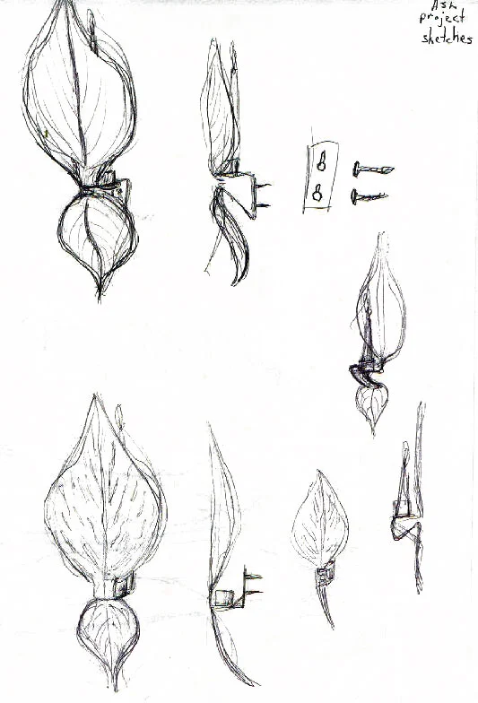 spsketch8.jpg