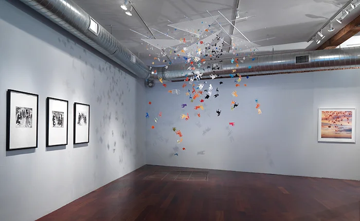 They-Still-Cast-Shadows-Installation.jpg