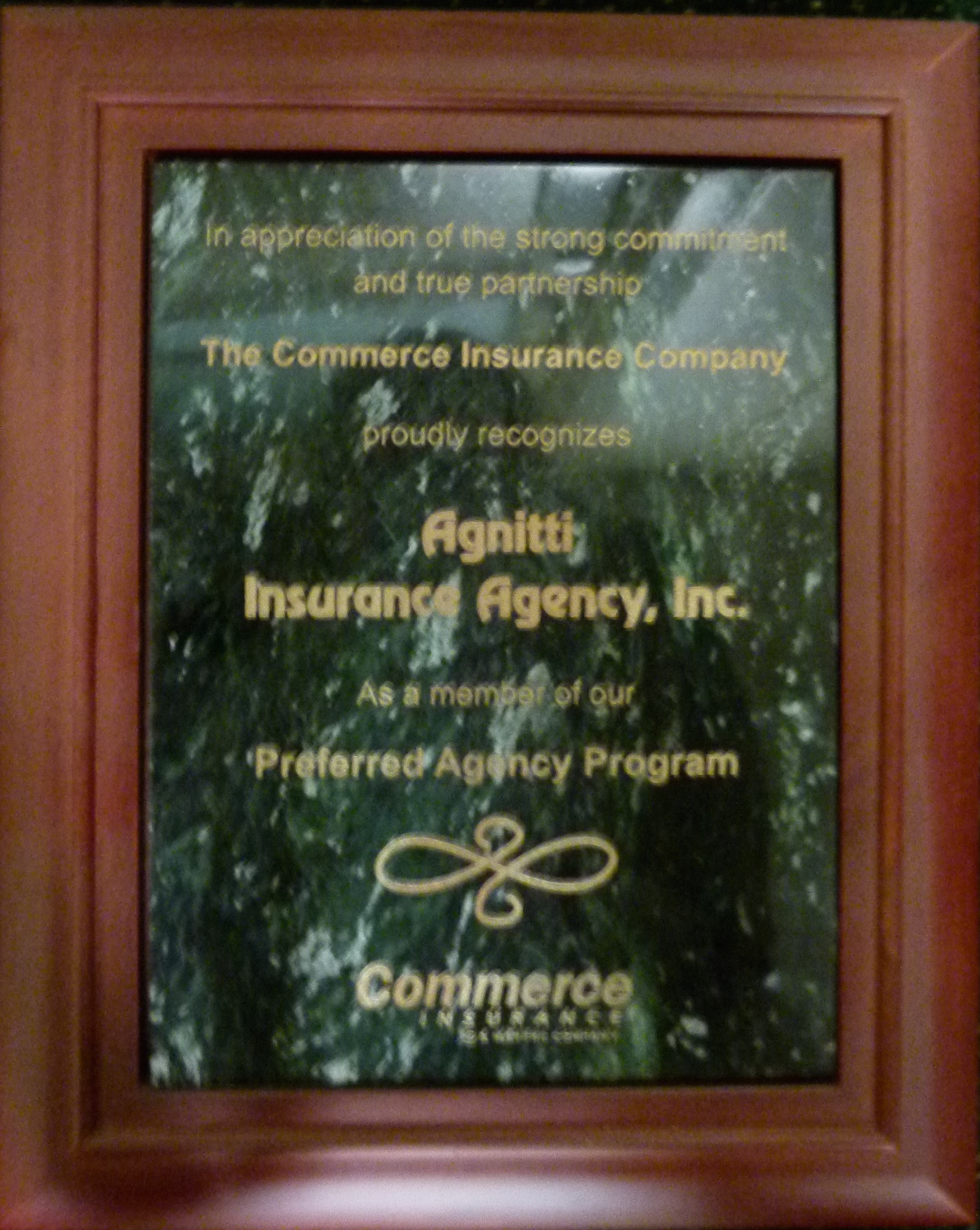 Agnitti-Insurance-Preferred-Agency-Program-Commerce