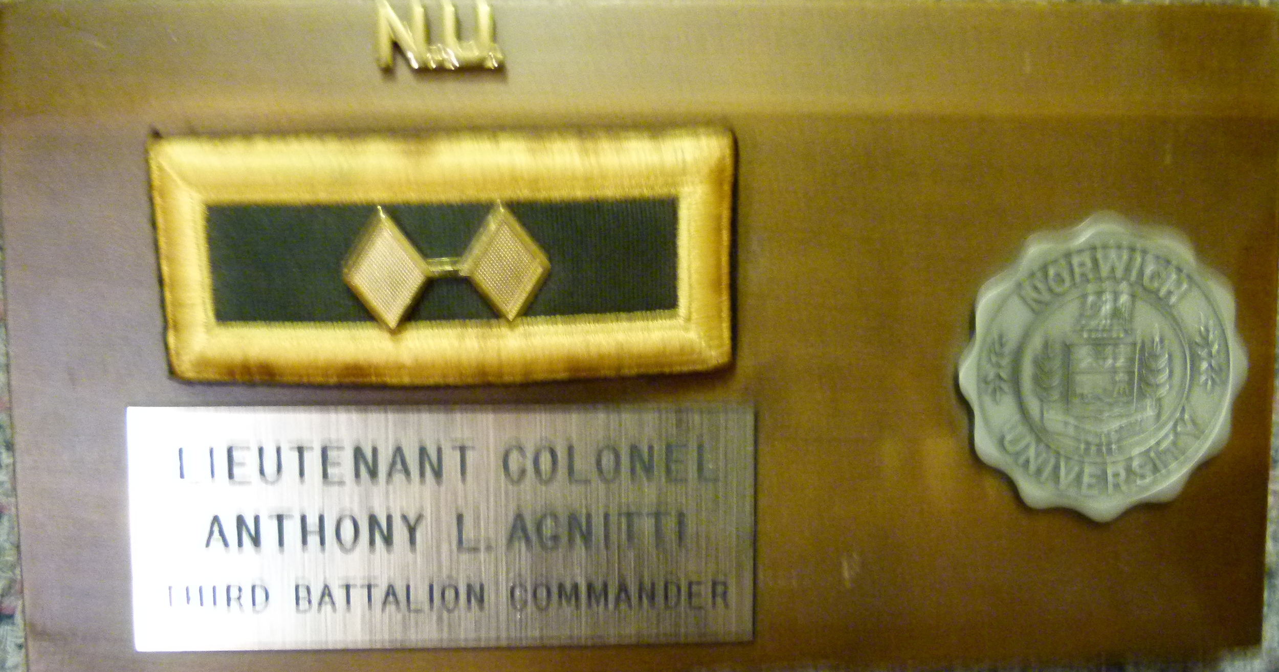 Anthony-Agnitti- Lieutenant-colonel-third-battalion-commander