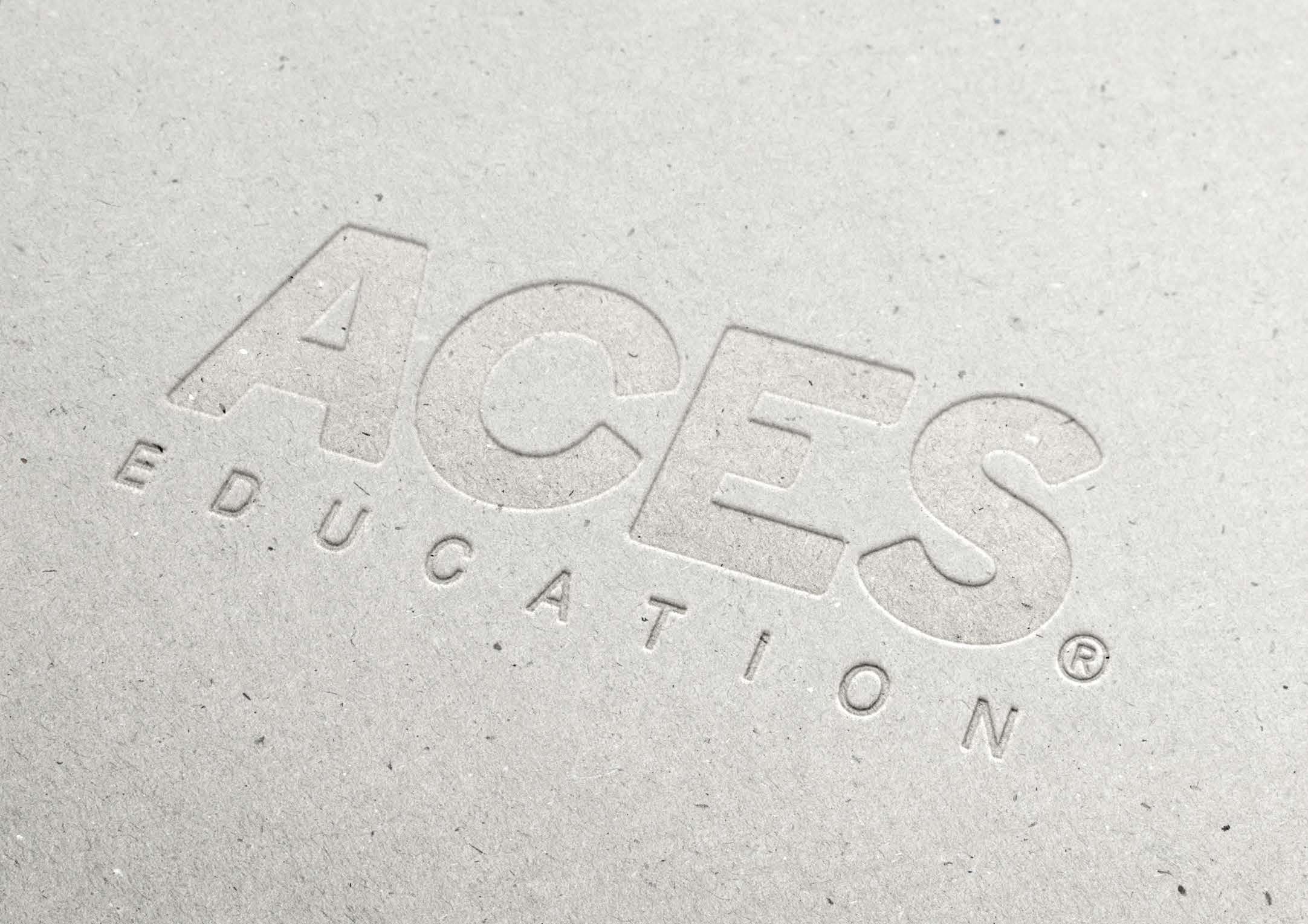 ACES Logo Doc Aug V999_Page_3.jpg