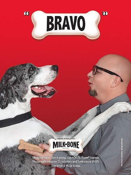 MILKBONE /// GRACE CHON