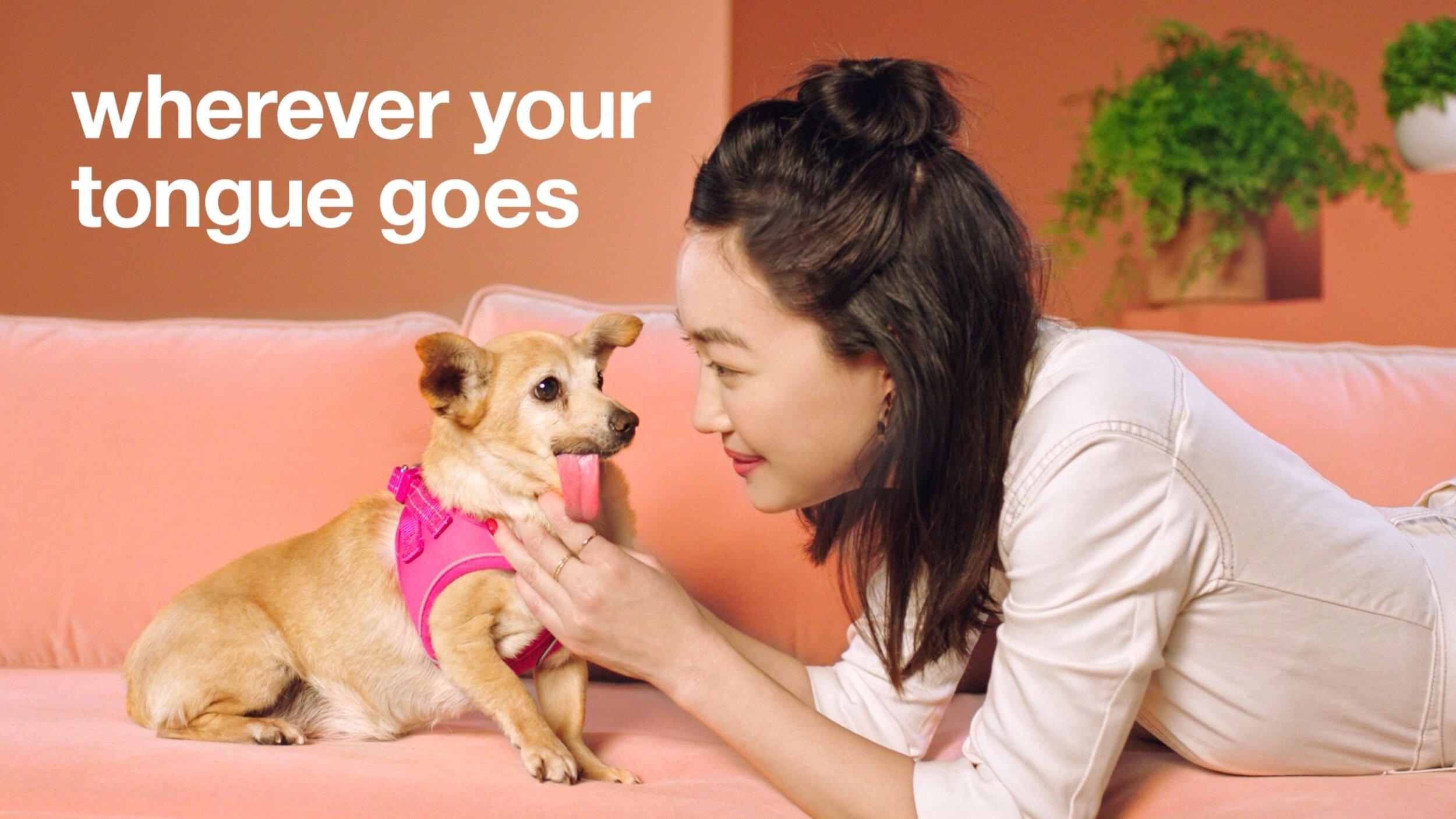 Target Pets /// The Marbles