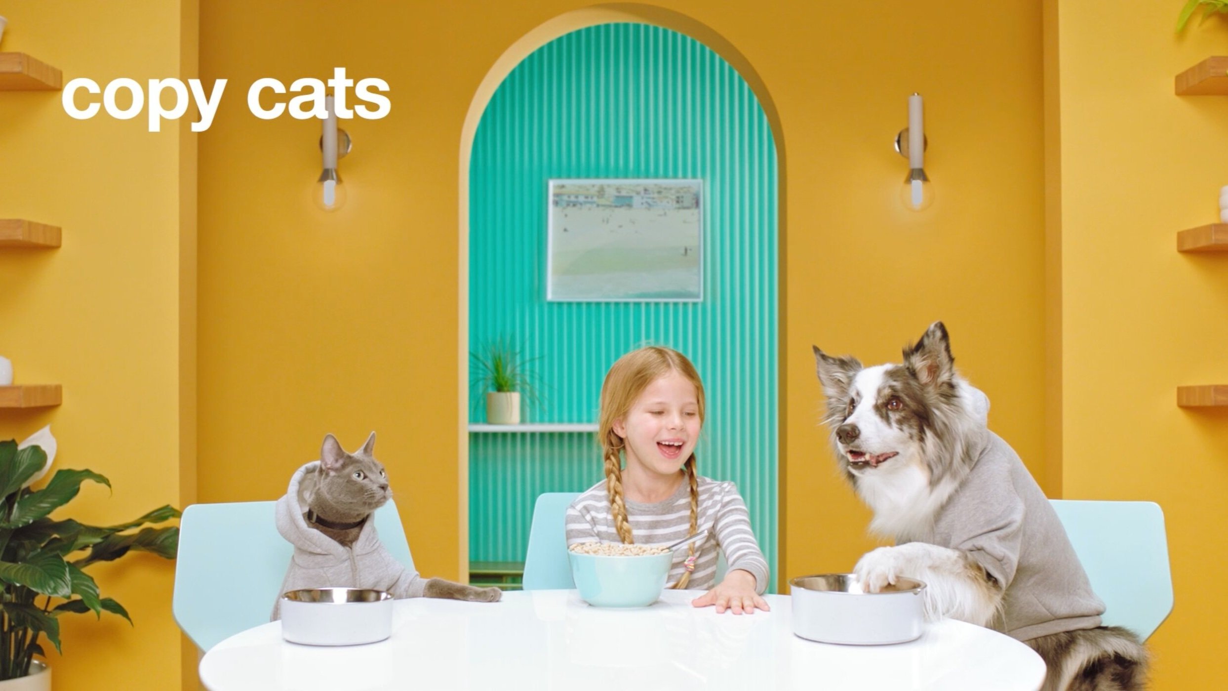 Target Pets // The Marbles