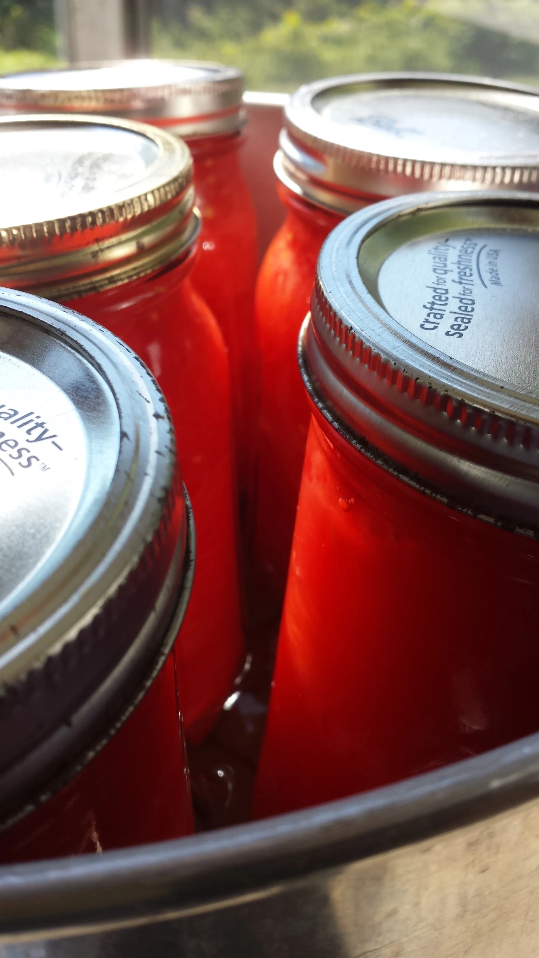 20150916_131248.jpg