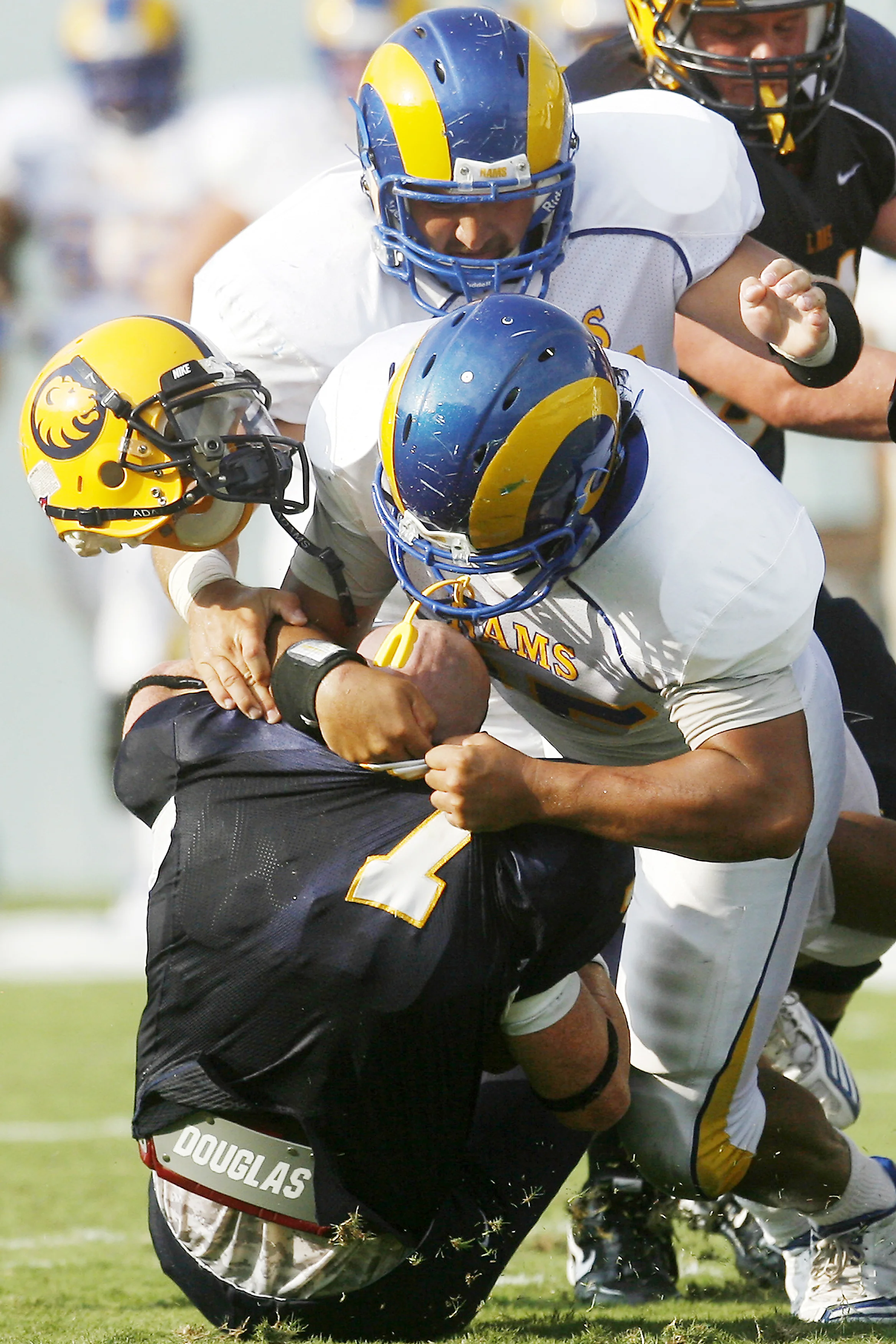  Angelo State's Sebastian Lafaele (center) and Godwin Ubah take the helmet off of Texas A&amp;M Commerce quarterback Adam Farkes during the first half of play in Saturday's Harvey Martin Classic at the Cotton Bowl in Dallas. 