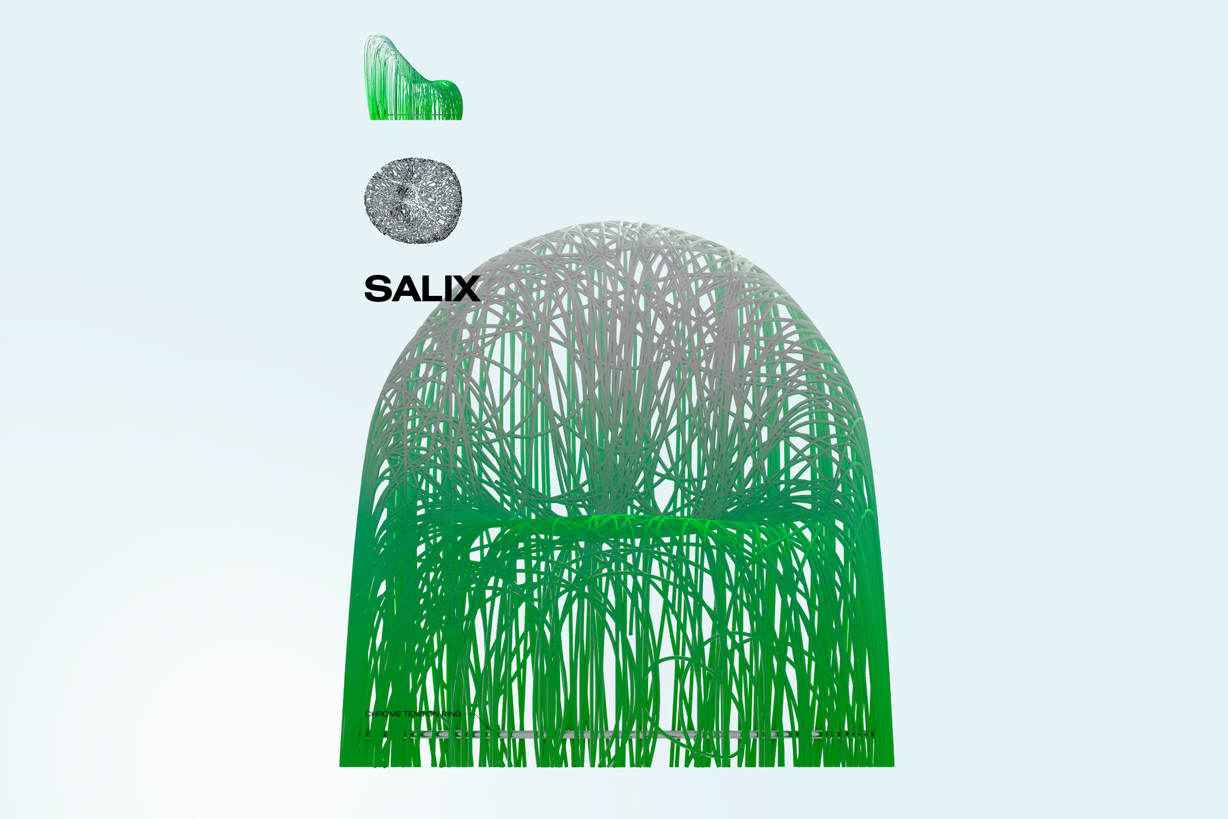 salix_1_zoom.jpg