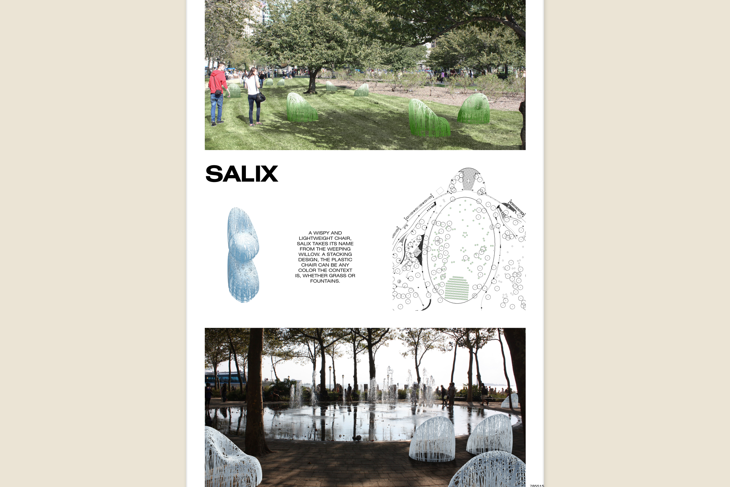 salix_2_zoom.png