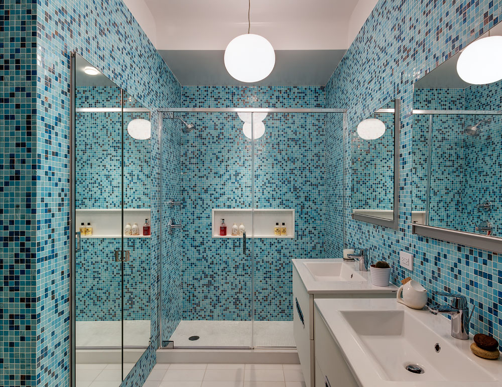 Dumbo Residence, Brooklyn New York - Master Bathroom