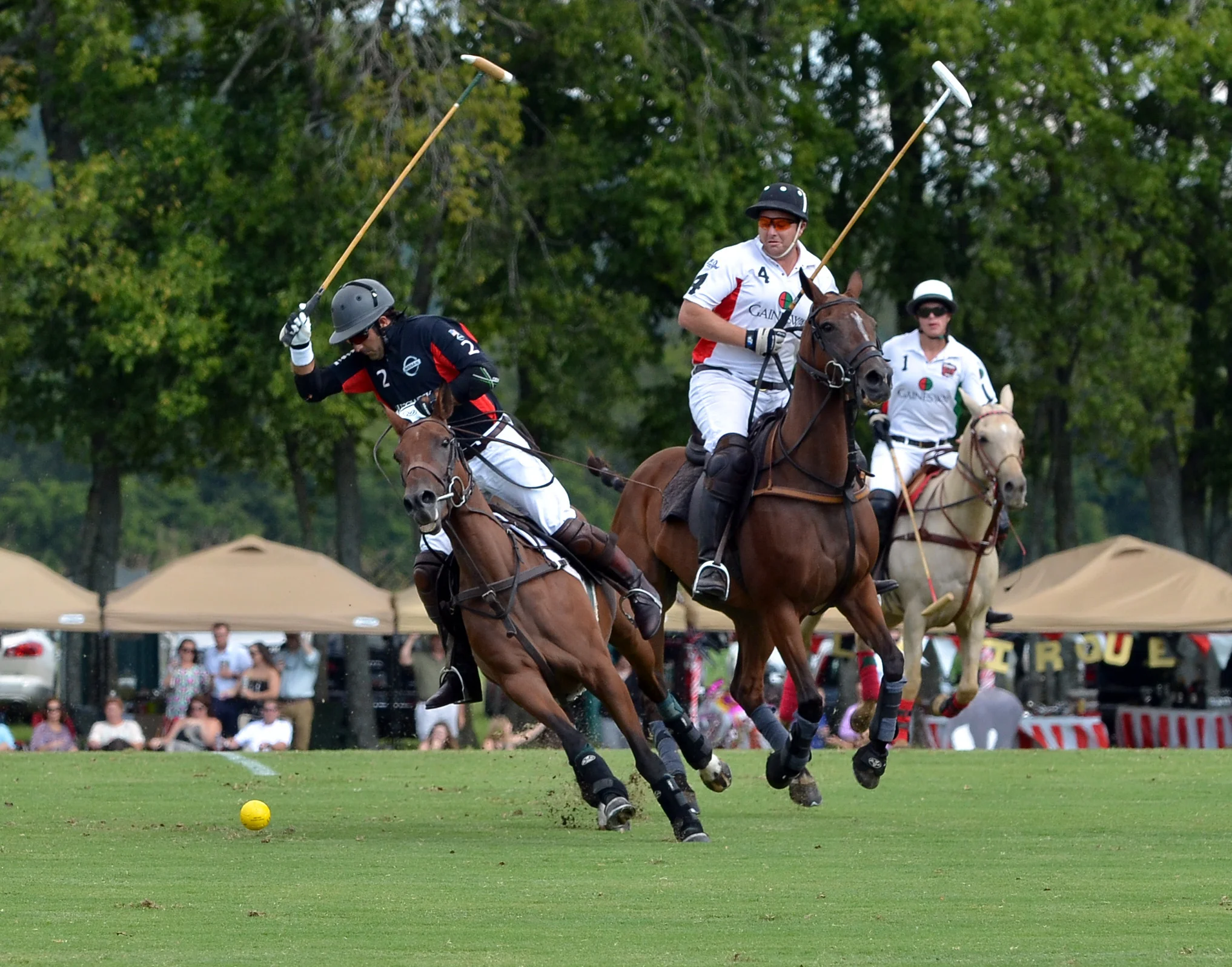 ChukkersforCharity3.jpg