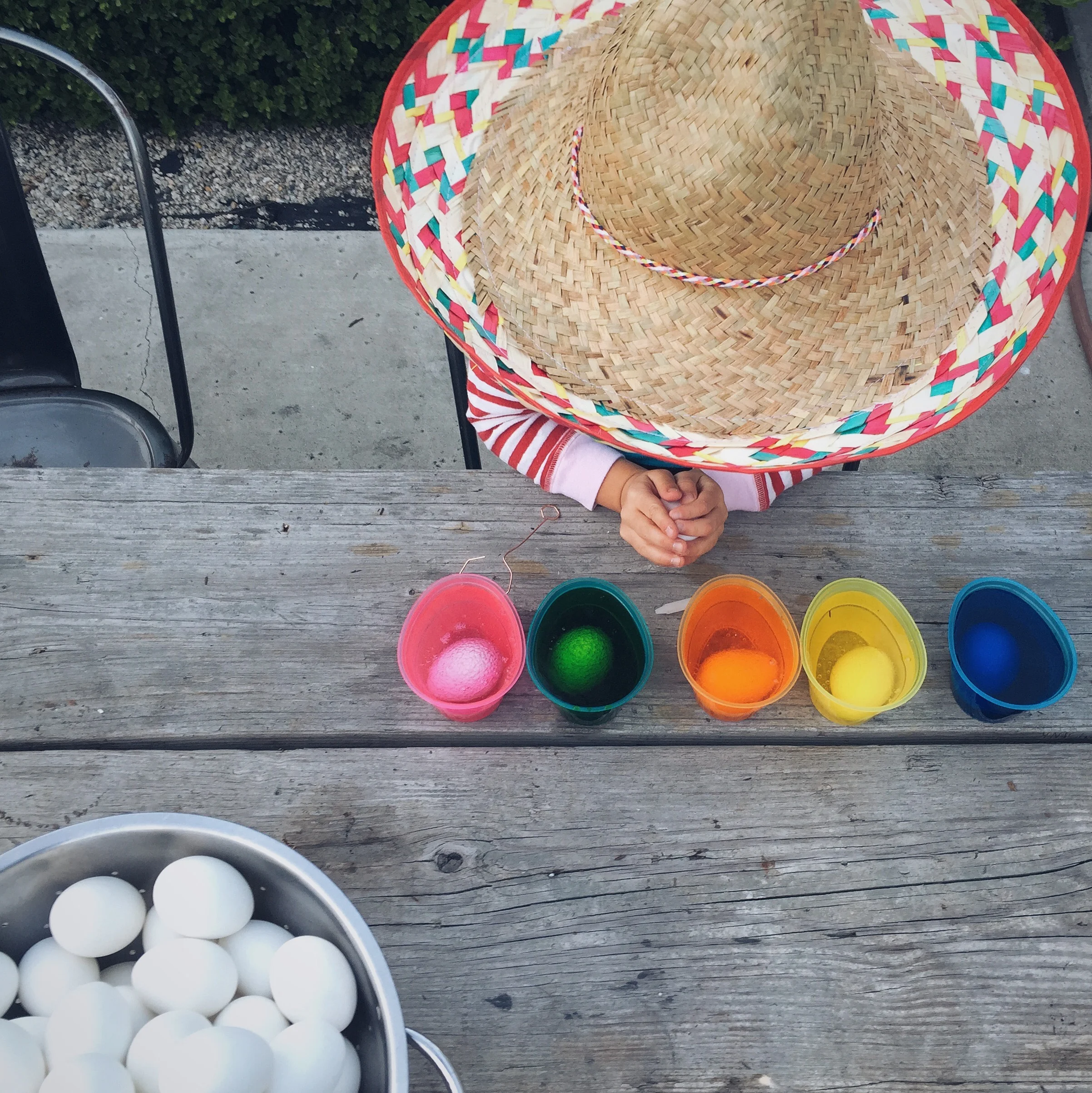 IMG_3469.jpg