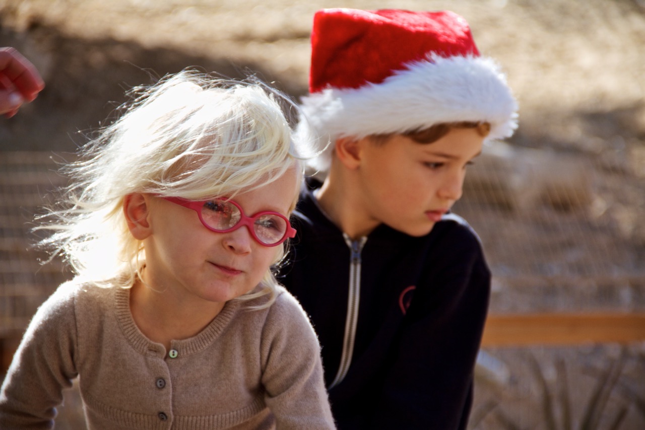 IMG_9890 - Version 2.jpeg