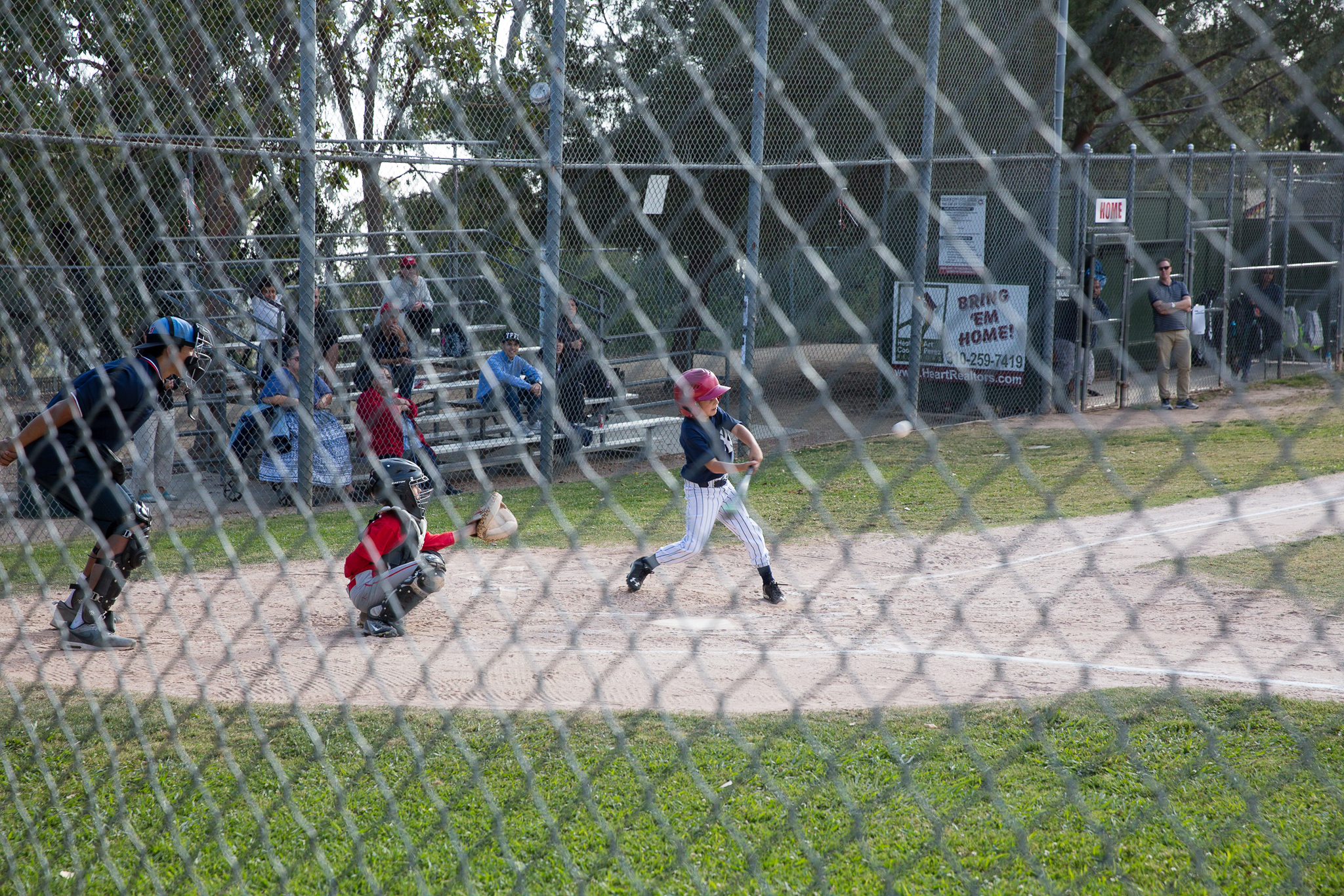 TWS_3996.jpg