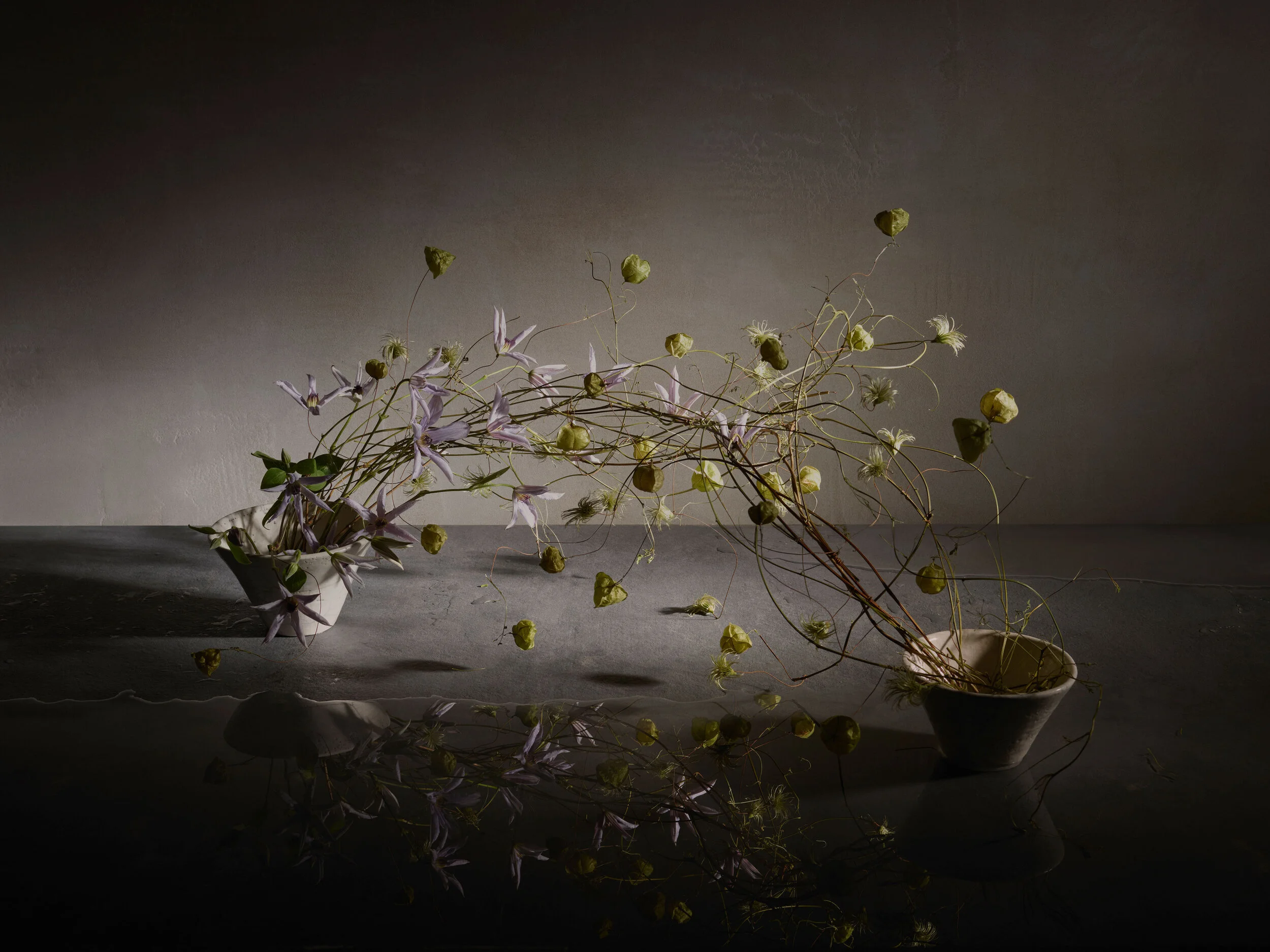 Client: Flow Gallery Project: Solitary Flowers, Cecile Daladier Photographer: Beth Evans