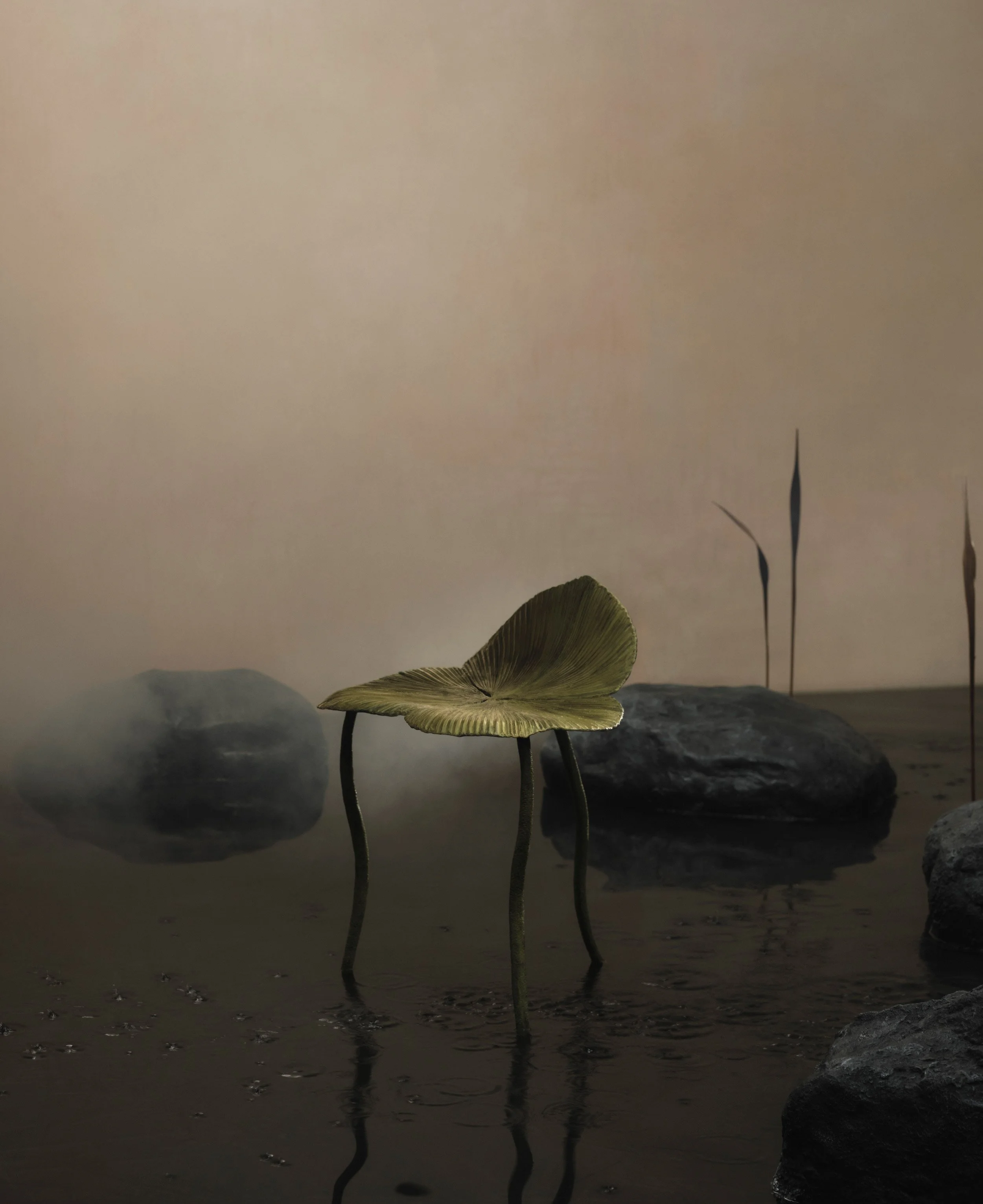  Client:  Galerie Mélissa Paul   Project:  Clotilde Ancarani   Photographer:  Felix Speller  
