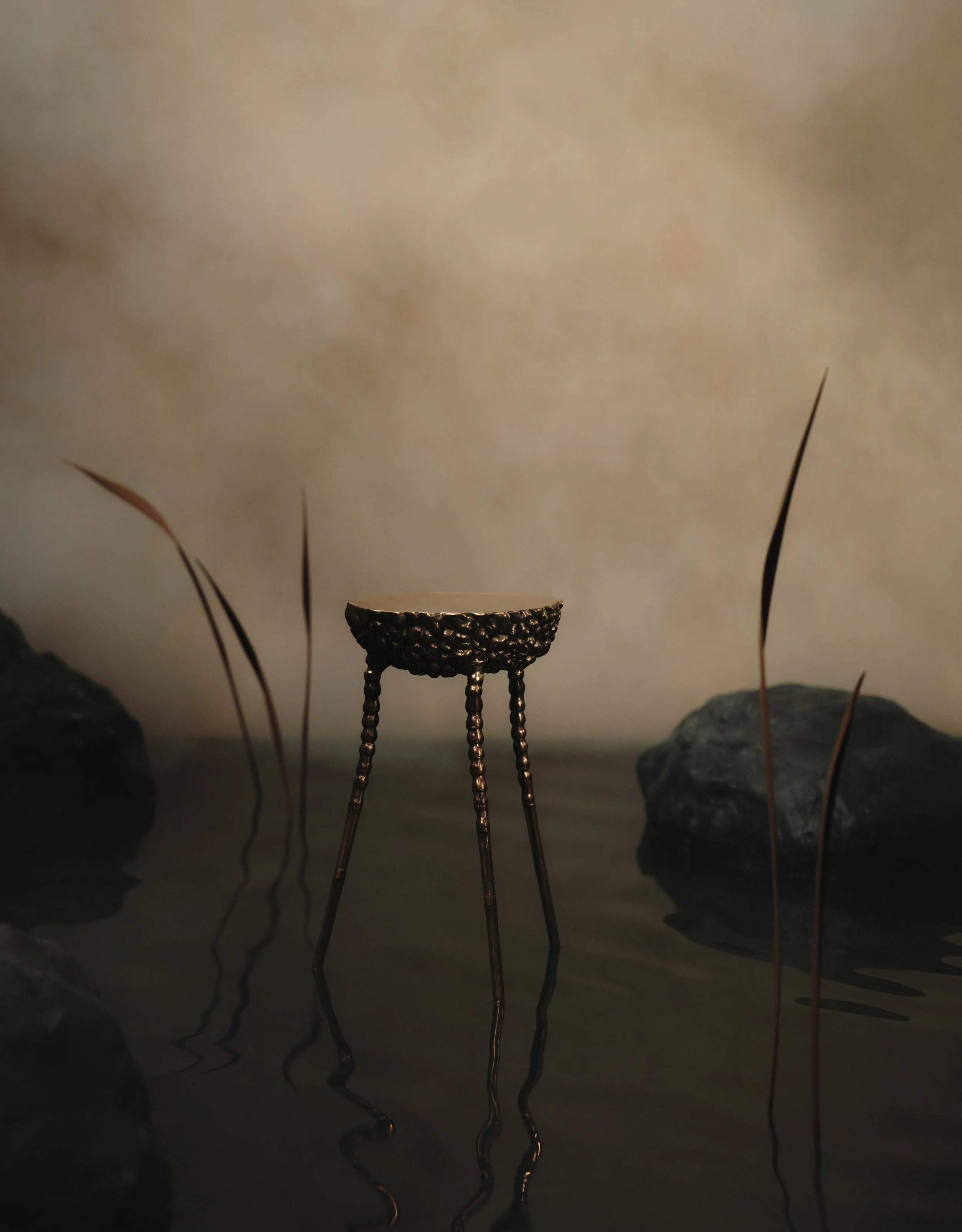  Client:  Galerie Mélissa Paul   Project:  Clotilde Ancarani   Photographer:  Felix Speller  