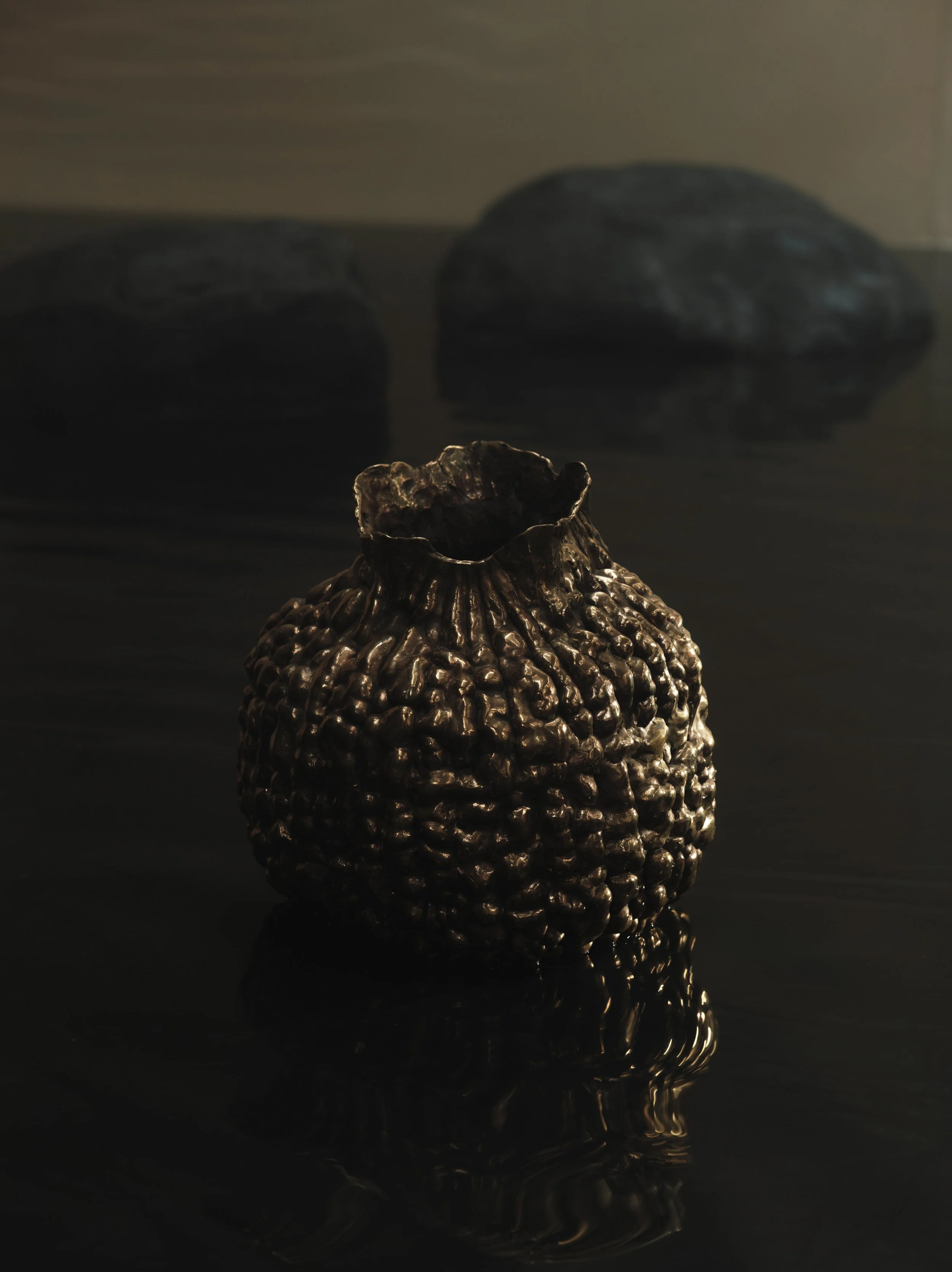  Client:  Galerie Mélissa Paul   Project:  Clotilde Ancarani   Photographer:  Felix Speller  