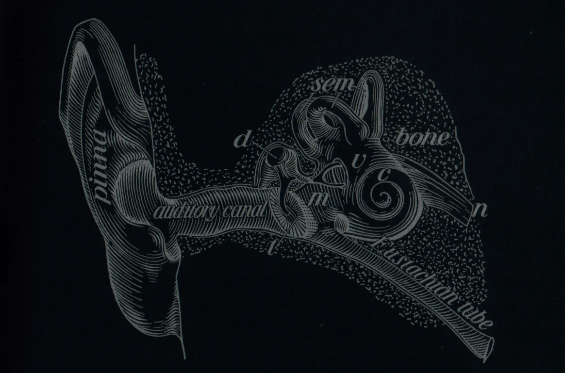 ear_black.jpg