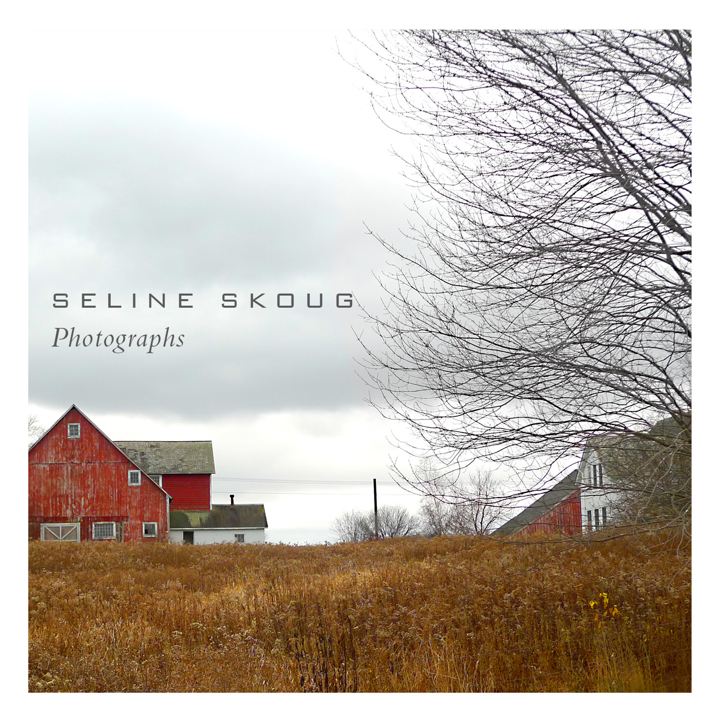 Seline Skoug Photography