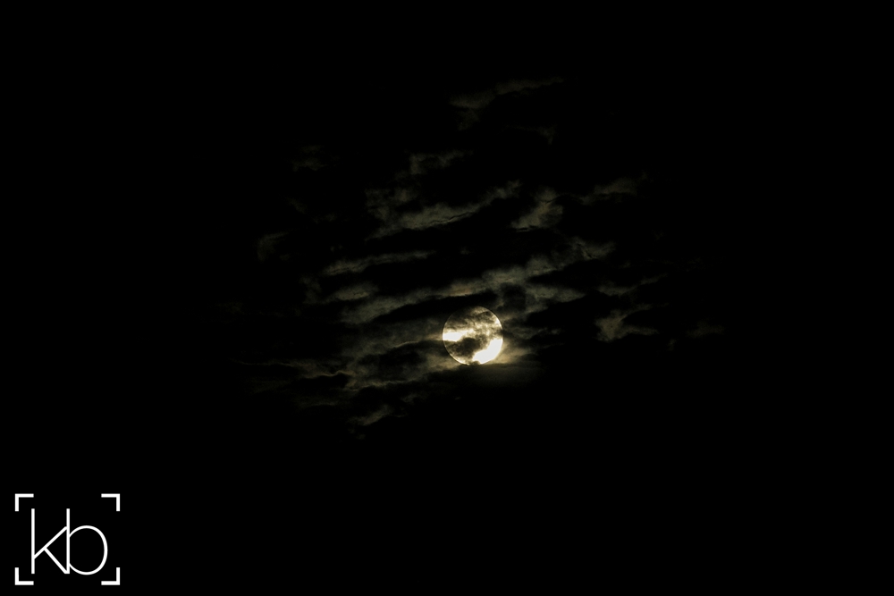 2015-09-10_0130.jpg