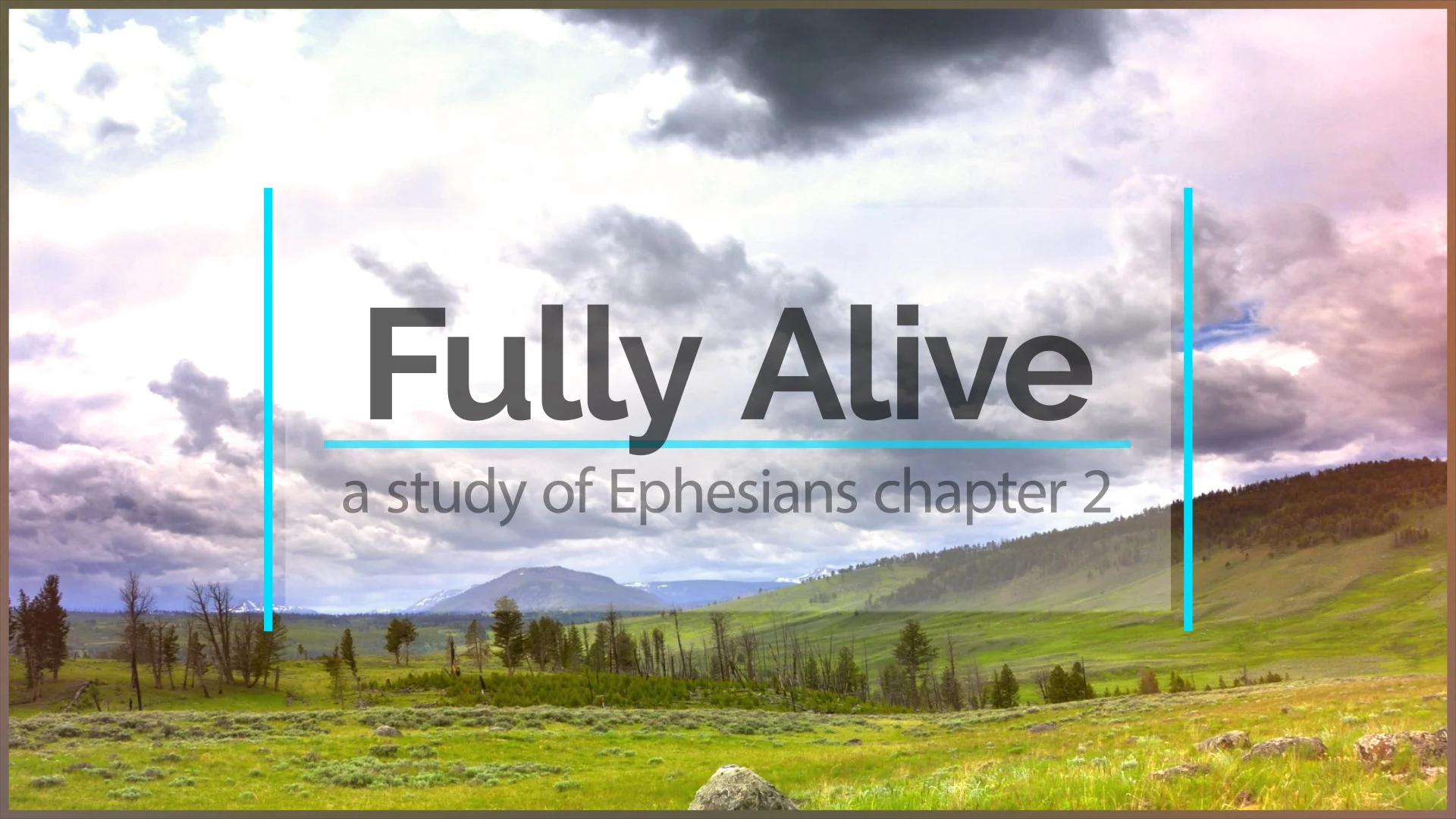 Fully-Alive-Graphic.jpg