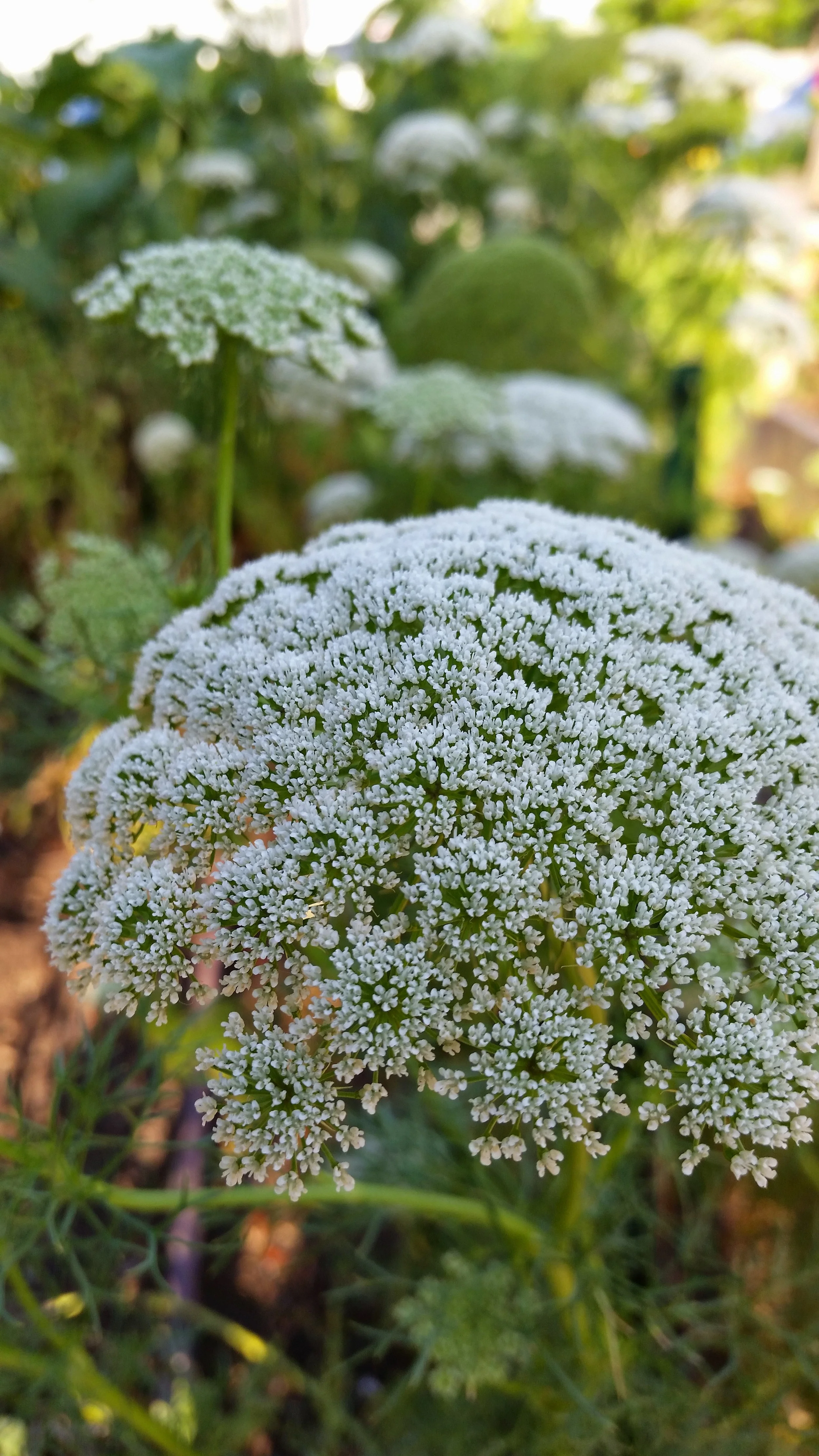 Maybe you could use some inspiration right now..