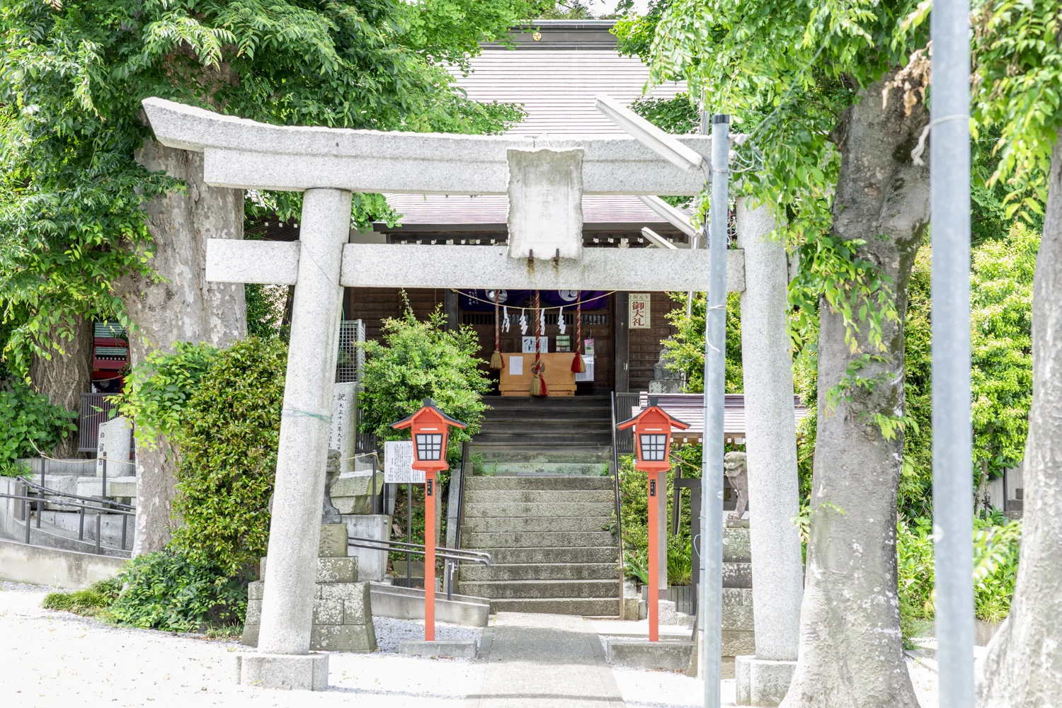 kasuga-shrine_1.jpg
